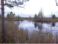 DSCN3410.JPG