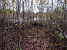 DSCN3412.JPG