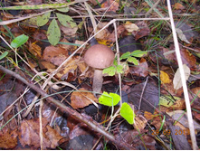 DSCN3421.JPG