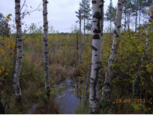 DSCN3422.JPG