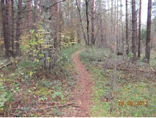 DSCN3425.JPG