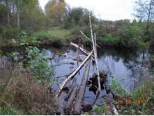 DSCN3432.JPG