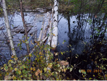 DSCN3433.JPG