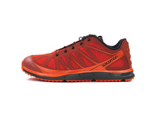 salomon-krossovki-muzhskie-l32982900.jpg