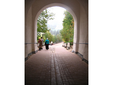 IMG_9501.jpg