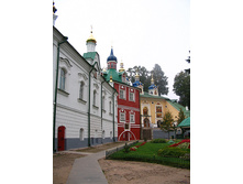 IMG_9511.jpg