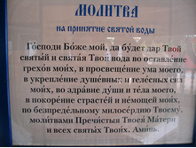 IMG_9522.jpg