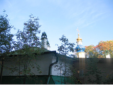 IMG_9574.jpg