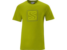 salomon-futbolka-muzhskaia-l32929900.jpg