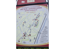 IMG_8527.jpg