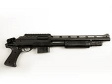 image355.png