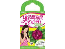 image456.png