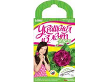 image457.png