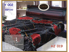 � 002(HJ 019).jpg