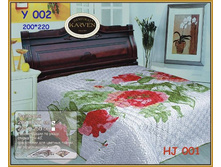 � 002(HJ 001).jpg