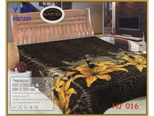 � 002(HJ 016).jpg