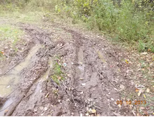 DSCN3453.JPG