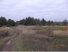DSCN3461.JPG