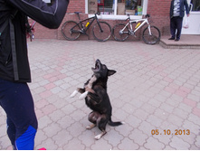 DSCN3470.JPG