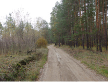 IMGP2091.JPG
