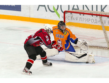 0510-8818.jpg