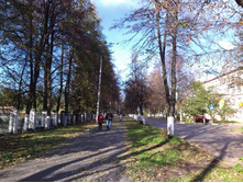 04.jpg