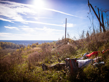 20131006-DSC05281.jpg