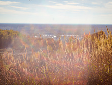 20131006-DSC05288.jpg