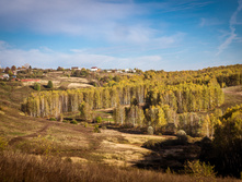 20131006-DSC05294.jpg