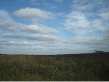 DSC00601.JPG