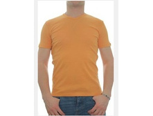 4045yellow