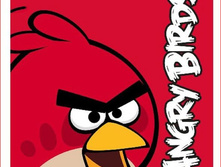 ���� �������� Angry Birds 125�150�� �������  450  ���.JPG