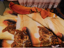 DSCN2306.JPG