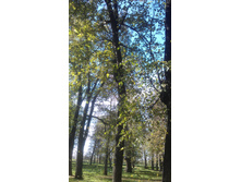 09.10.2013 16:41:23