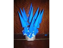 DSCN5378.JPG