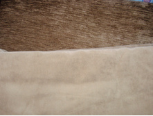 PA093344.JPG