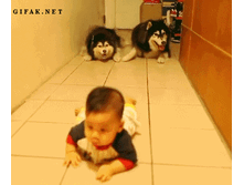 ������.gif