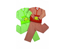 PJ-12000.jpg