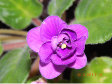 DSCN0622.JPG