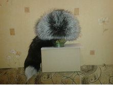 20131010_000514.jpg
