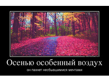 13.10.2013 11:58:49