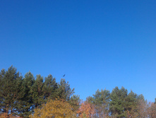 IMAG1644.jpg