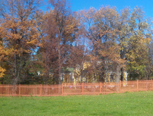 IMAG1698.jpg