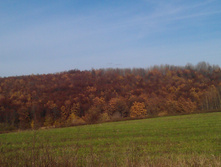 IMAG1734.jpg