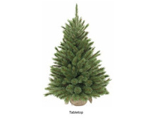 ���� ������ ��������� (Forest Frosted) � ������� 90��. 73669_1542 ���