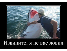 59151073_izvinite-ya-ne-vas-lovil.jpg