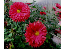 9194899.S73R6182.jpg