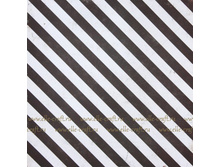 5785_thumbnail500x500.JPG