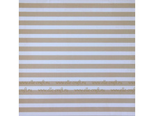 5965_thumbnail500x500.JPG