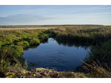 DSCF2486.JPG